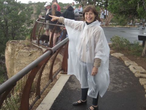 1991 Ford LTD Crown Victoria - A woman in a white poncho points towards the Grand Canyon while tourists look on from a viewing platform.