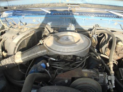 1979 Ford Bronco photo