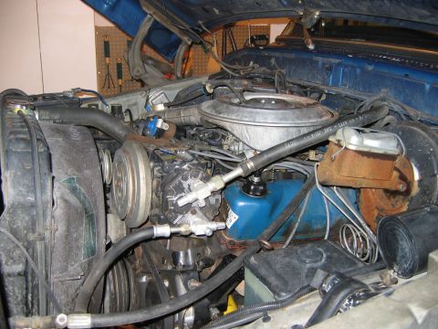 1979 Ford Bronco photo