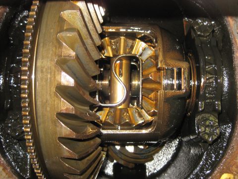 1994 Ford Bronco - Differential gears showing wear and lubrication.