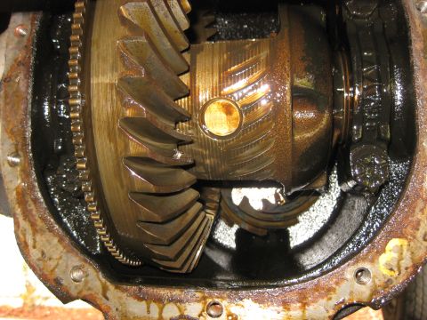 1994 Ford Bronco - This image shows the internal components of a vehicle's differential, including gears and a chain, covered in grease.