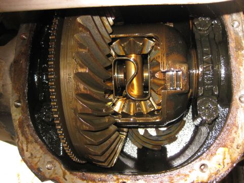 1994 Ford Bronco - Close-up of a vehicle's differential gears and chain, showing wear and grease.