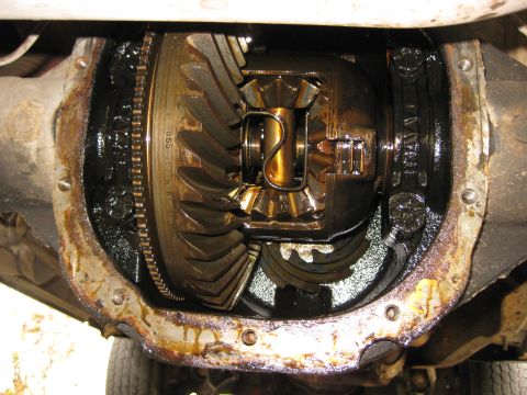 1994 Ford Bronco - Close-up view of a vehicle's rear axle differential, showing internal gears and a chain.