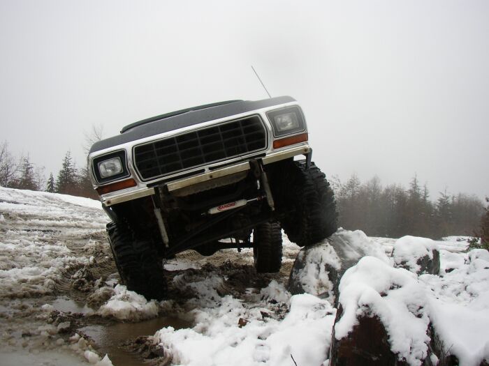 1979 Ford Bronco “Elyse”