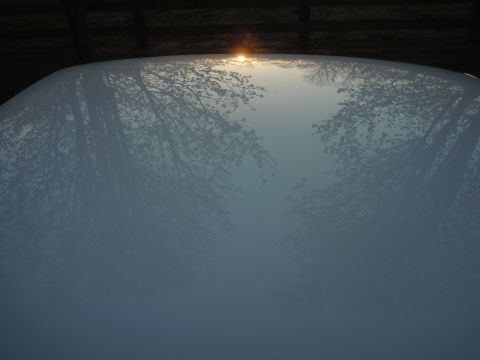 1973 Chevrolet Camaro - The reflection of trees and a sunset on a white car hood.