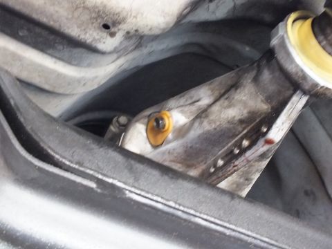 2003 Ford Crown Victoria - Yellow polyurethane bushing and bolt nestled in a stamped underbody pocket.