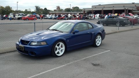 2007 Ford Mustang - A blue 2007 Ford Mustang coupe with distinctive white wheels is displayed at a car show, with other vehicles visible in the background.