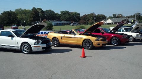 2007 Ford Mustang - A line of Ford Mustangs, including a yellow convertible and a white coupe, are displayed with their hoods open at an outdoor event.