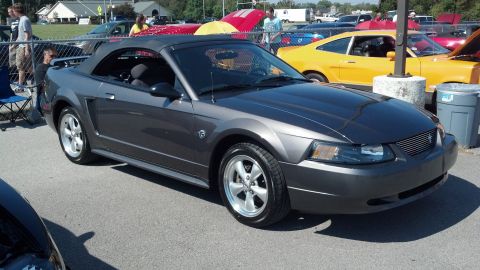 2007 Ford Mustang - A dark gray convertible is parked at an outdoor event with other cars visible in the background.