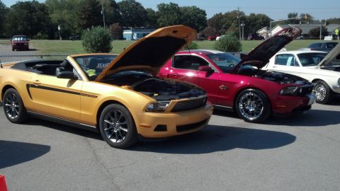 2007 Ford Mustang - Several Mustangs are displayed with their hoods open at an outdoor car show.