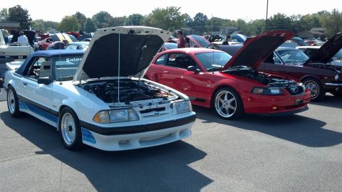 2007 Ford Mustang - Multiple Mustangs are on display with their hoods open at a car show.