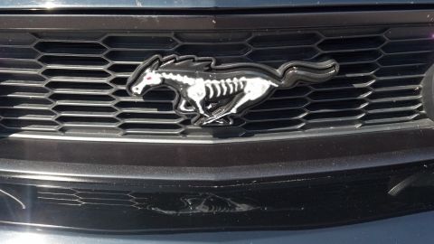 2007 Ford Mustang - Close-up of a modern Ford Mustang grille emblem with a skeletal horse design.