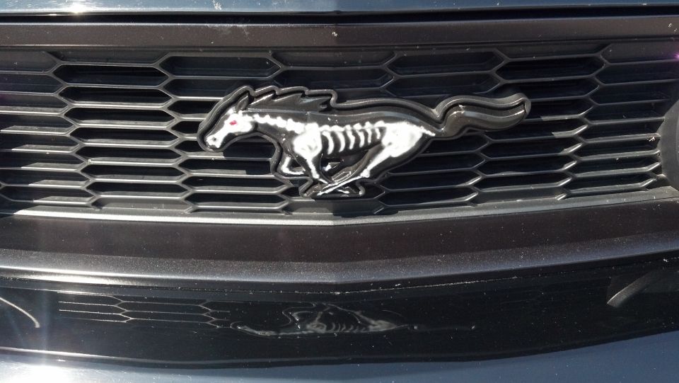 Black honeycomb grille with a chrome Mustang emblem showing a skeletal horse design
