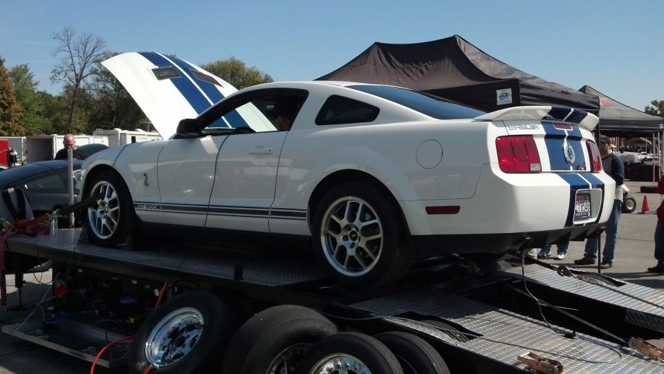 White Ford Mustang Shelby GT500 on a trailer with hood open, blue racing stripes