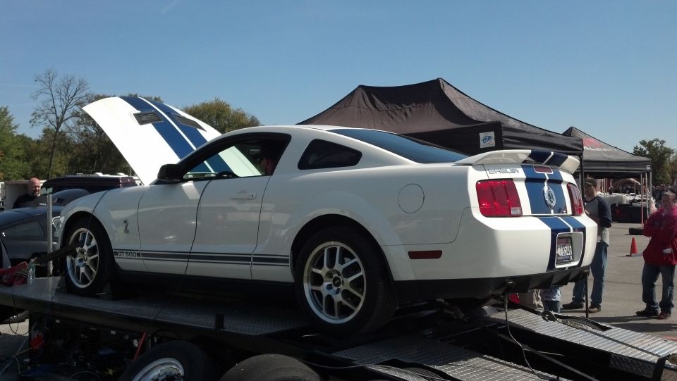 White 2007 Ford Mustang Shelby GT500 with blue stripes on a trailer, hood up