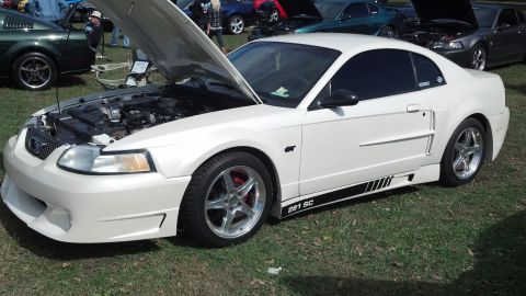 2007 Ford Mustang - White 2004 Ford Mustang coupe with the hood open, parked on grass with other vehicles in the background.