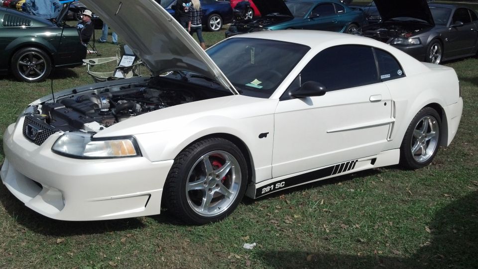 White 2004 Ford Mustang coupe with black racing stripes on the rocker panels and "201 SC" text