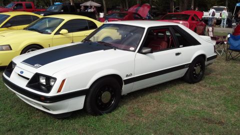 2007 Ford Mustang - White 1987 Ford Mustang GT with black stripe and 5.0 badge is parked on grass.