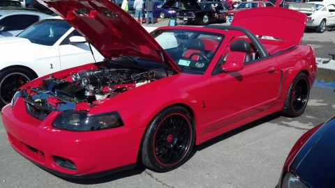2007 Ford Mustang - Red 2007 Ford Mustang convertible at a car show, hood and trunk open.