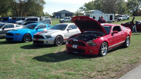 2007 Ford Mustang - Several Ford Mustangs are gathered on a grassy field, with one red model prominently displayed with its hood open.
