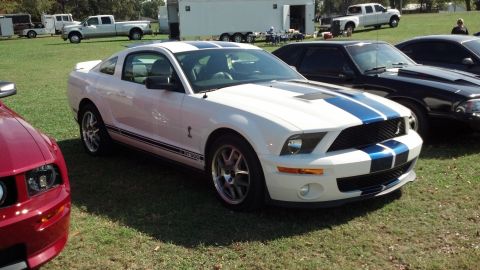 2007 Ford Mustang - A white 2007 Ford Mustang GT500 with blue racing stripes is parked on a grassy field next to other vehicles.