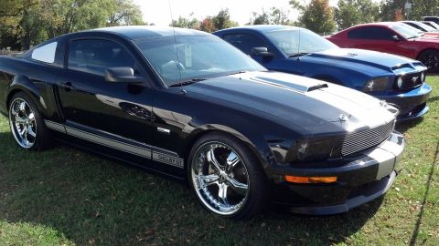 2007 Ford Mustang - A black 2007 Ford Mustang Shelby GT is parked on grass with other vehicles in the background.