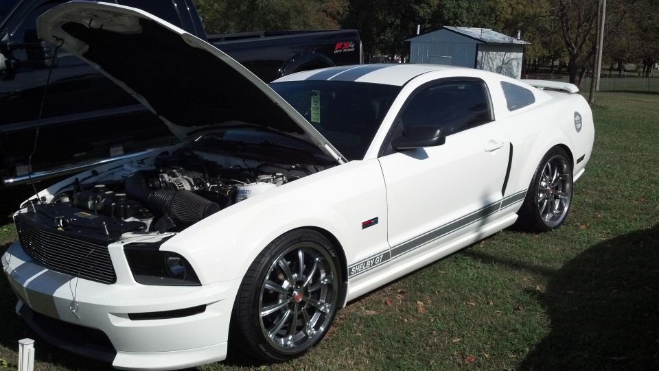 White Ford Mustang Shelby GT with hood open, showing engine. Gray racing stripes on hood and roof. 'Shelby GT' text on side