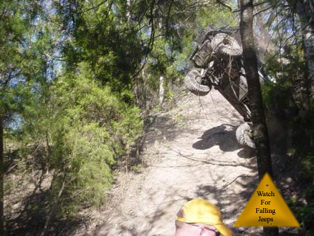 2002 Jeep Wrangler - An off-road vehicle is precariously tilted against a tree on a wooded trail.