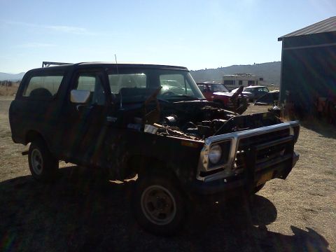 1978 Ford Bronco - A black 1978 Ford Bronco sits in a lot with its hood open, under a clear sky.