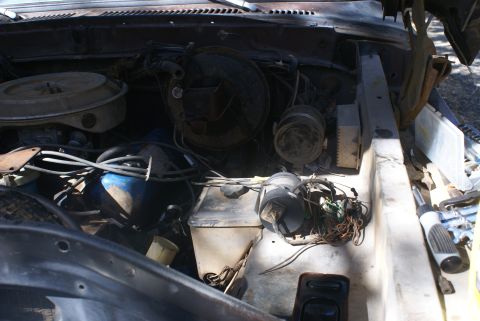 1978 Ford Bronco - The engine bay of an older vehicle shows a complex arrangement of hoses and wiring.