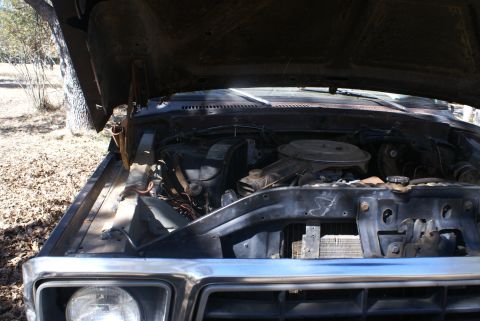 1978 Ford Bronco - The engine bay of a vehicle is viewed from the front with the hood raised.