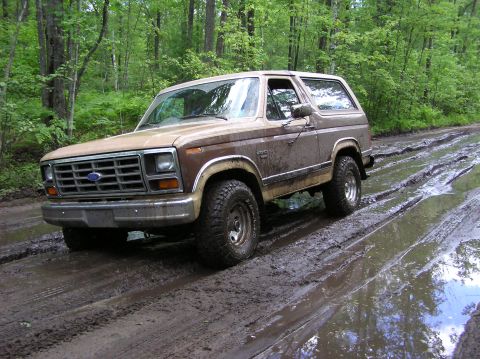 1987 Ford F-250 - A brown Ford Bronco navigates a muddy path through a dense forest.