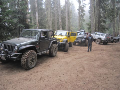 2008 Jeep Wrangler - A line of modified Jeep Wranglers are parked on a dirt path in a forest.