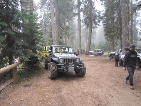 2008 Jeep Wrangler - A group of Jeeps are parked in a wooded area, with one prominent in the foreground.