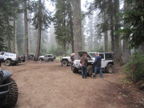 2008 Jeep Wrangler - Multiple Jeeps are parked in a wooded area, with a few people inspecting one of the vehicles.