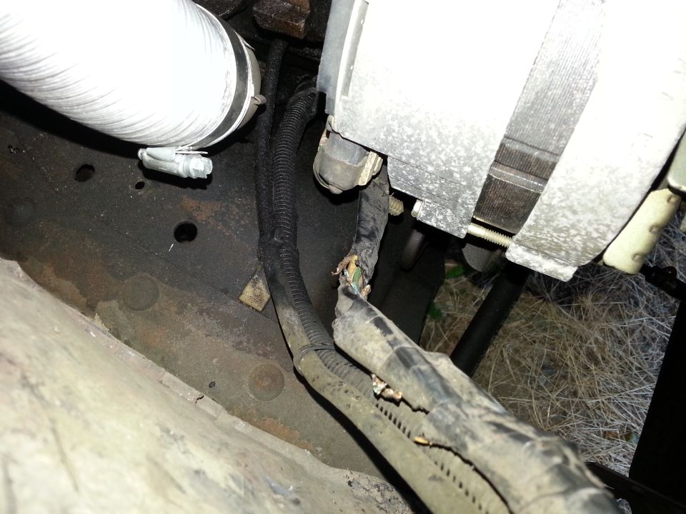 Close-up of frayed engine bay wiring harness and large hose clamp