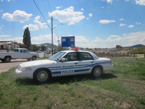 1991 Ford LTD Crown Victoria - A 1991 Ford Crown Victoria police car is parked on the side of the road next to a white pickup truck.