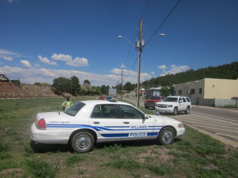 1991 Ford LTD Crown Victoria - A white police car with blue stripes and 'WILLIAMS POLICE' text is parked on the side of the road, with other vehicles visible in the backg…