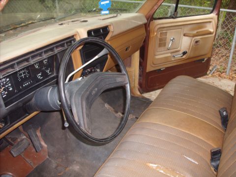 1980 Ford F-150 photo