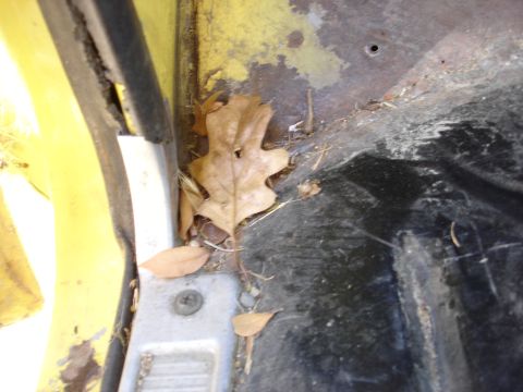 1978 Ford Bronco - Debris and dry leaves litter the interior floor of a vehicle.