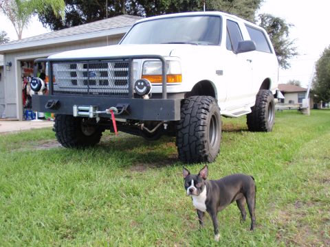 1995 Ford Bronco - This modified Ford Bronco features a winch and custom front end, with a dog standing nearby.