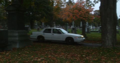 1998 Ford Crown Victoria - A white 1998 Ford Crown Victoria is parked on a path in a cemetery during autumn.