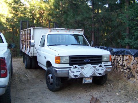 1994 Ford F-150 - A white Ford F-series truck with a utility bed is parked outdoors next to another vehicle.