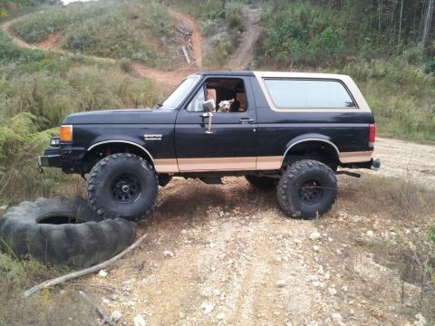 1987 Ford Bronco - This lifted 1987 Ford Bronco is ready for off-road adventure, complete with a canine co-pilot.