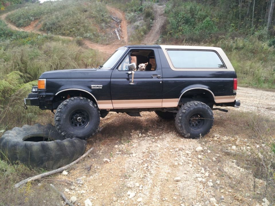 Black 1987 Ford Bronco with tan trim, lifted with large tires, parked on a dirt trail with a dog in the driver's seat
