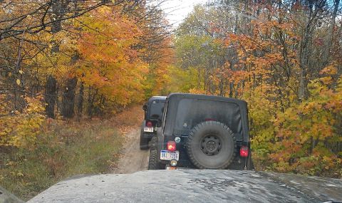 1979 Ford Bronco - Two black Jeep Wranglers navigate a dirt road surrounded by colorful fall foliage.