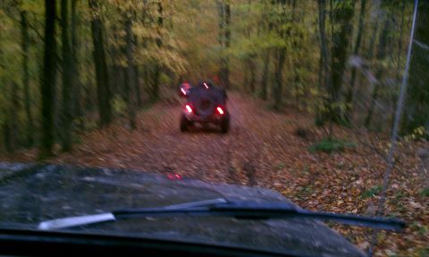 1979 Ford Bronco - Two SUVs navigate a wooded path covered in autumn leaves, with the lead vehicle's taillights visible.