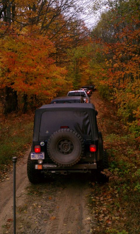 1979 Ford Bronco - Several Jeeps travel down a dirt path lined with colorful autumn trees.