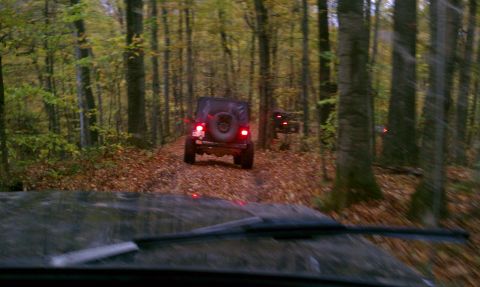 1979 Ford Bronco - Two Jeep Wranglers navigate a leaf-strewn path through a dense forest during autumn.
