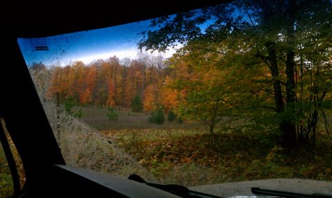1979 Ford Bronco - Looking out at a forest during peak fall foliage from the driver's seat.
